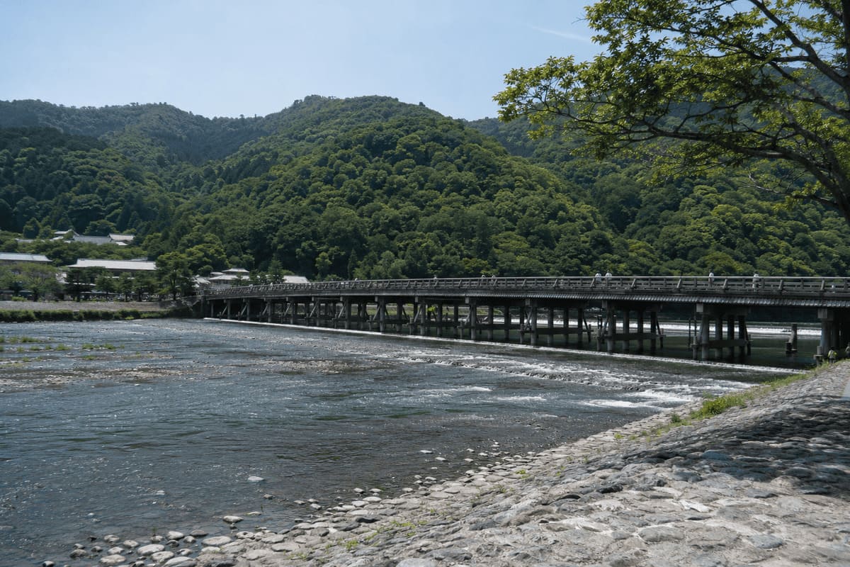 岚山竹林旅拍场景